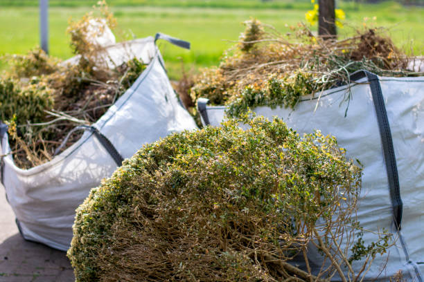 Best Yard Waste Removal  in Westminster, CA